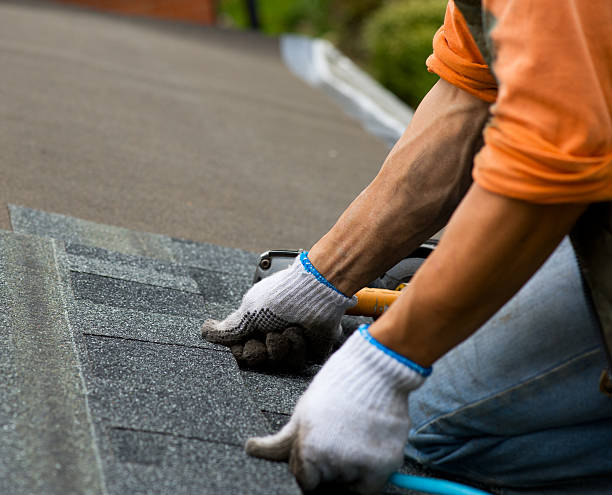 Best Storm Damage Roof Repair  in Milton, WV