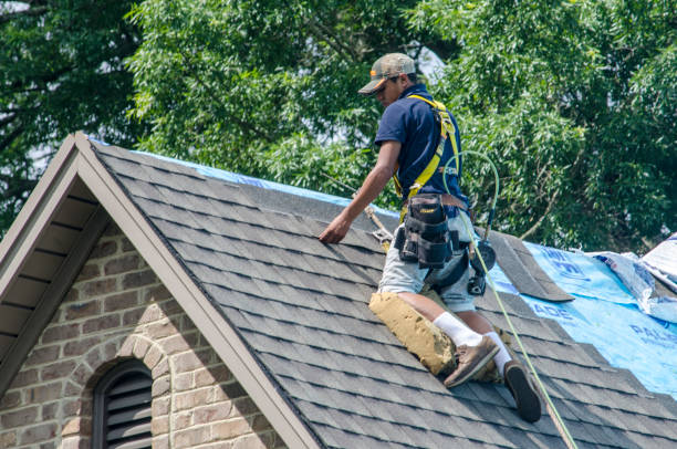 Best Gutter Installation and Roofing  in Milton, WV